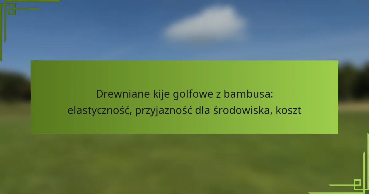 Drewniane kije golfowe z bambusa: elastyczność, przyjazność dla środowiska, koszt