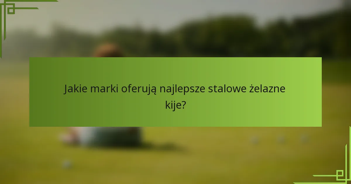 Jakie marki oferują najlepsze stalowe żelazne kije?