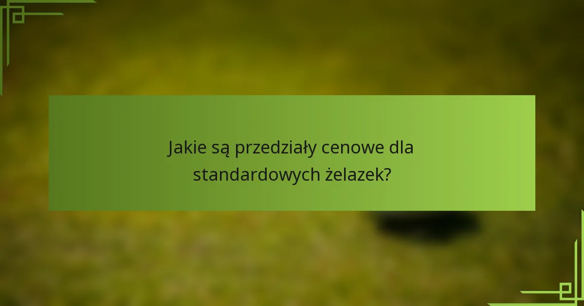 Jakie są przedziały cenowe dla standardowych żelazek?