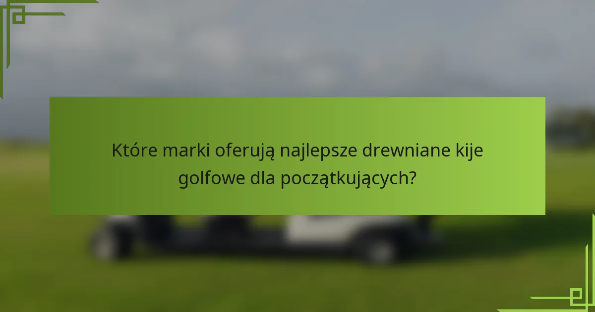Które marki oferują najlepsze drewniane kije golfowe dla początkujących?