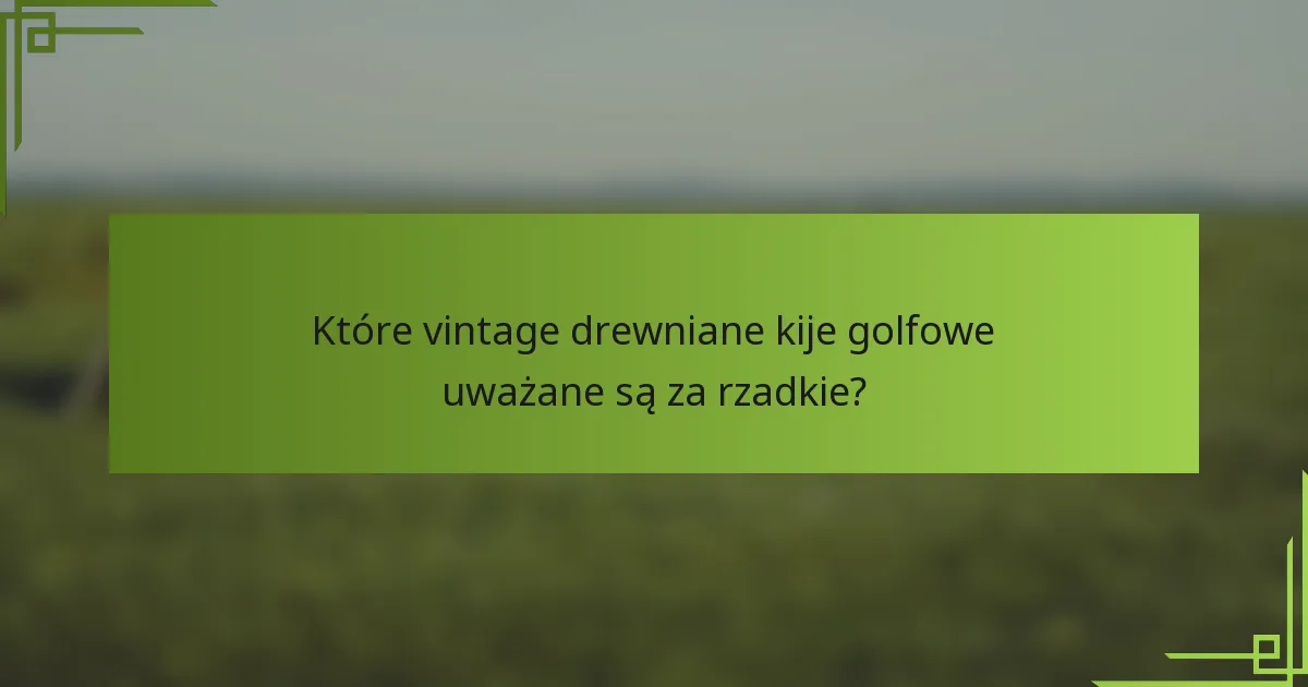 Które vintage drewniane kije golfowe uważane są za rzadkie?